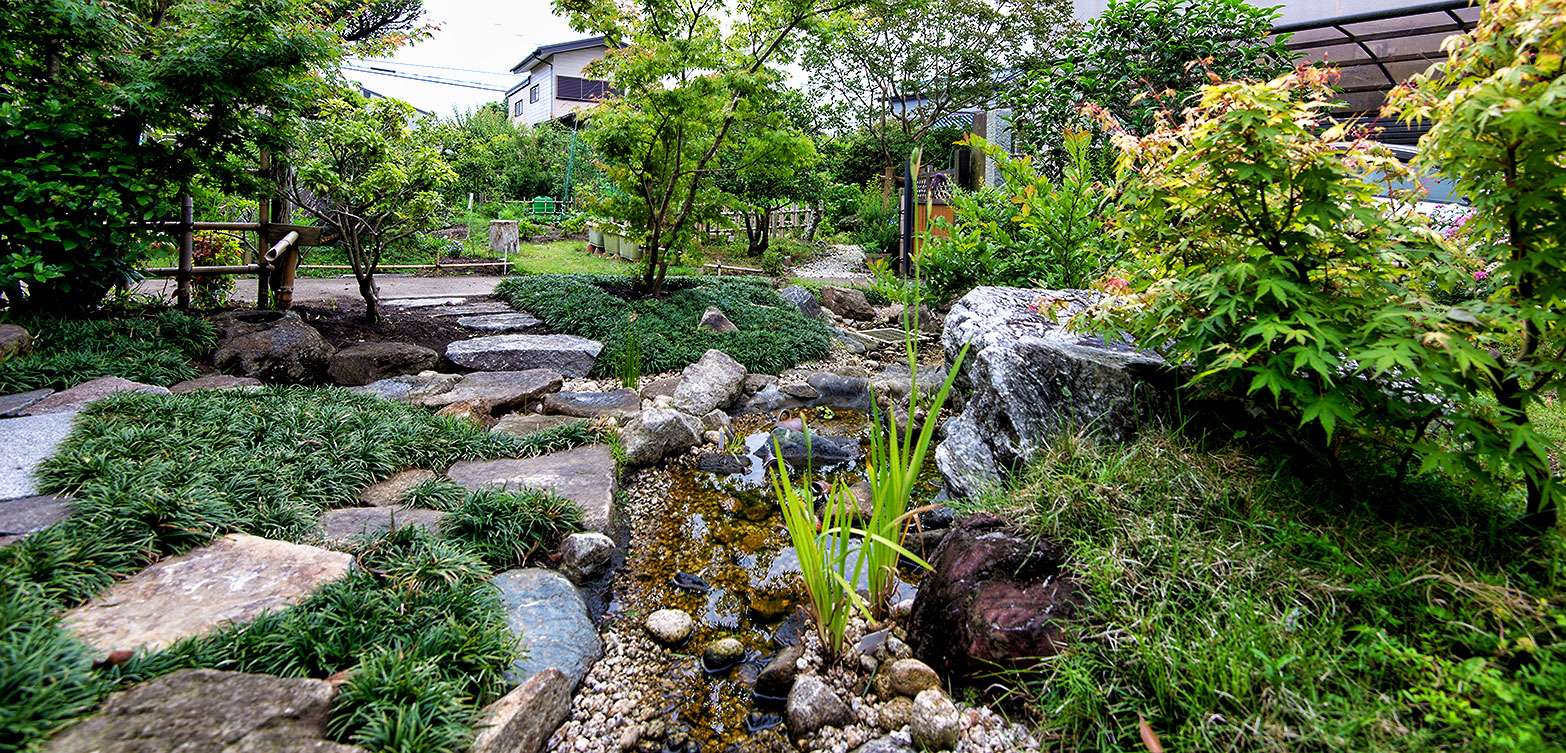 メダカが住む日本庭園
